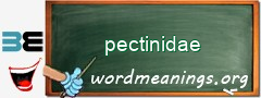 WordMeaning blackboard for pectinidae